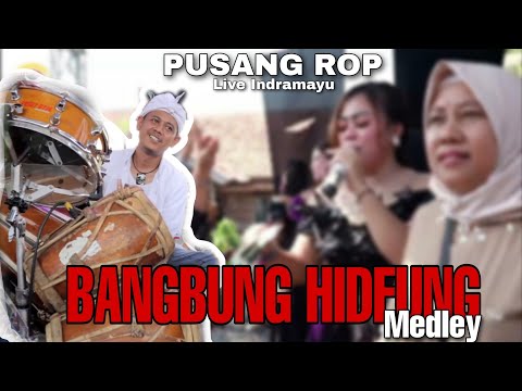 PUSANG ROP (Live Indramayu) | BANGBUNG HIDEUNG