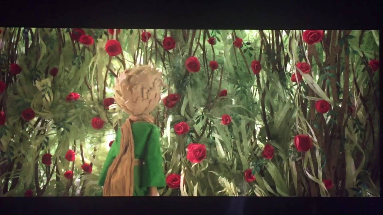 È il tempo che le hai dedicato che rende la tua rosa così importante! PICCOLO PRINCIPE