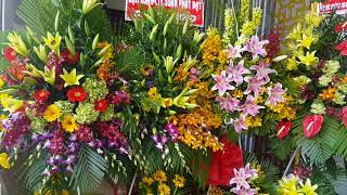 Lễ kỉ niệm 10 năm thành lập máy chế biến gỗ Đại Phúc Vinh