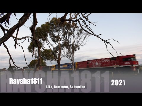 6MA5 - NR75-NR79 (PacNat) Murgheboluc - Australian Trains by Raysha1811