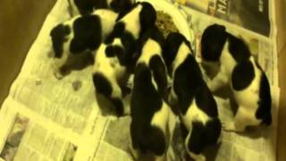 je laisse le temps faire.wmv