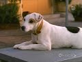 Wishbone S01E13 Sniffing The Gauntlet