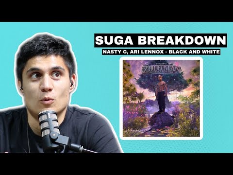 SUGA BREAKDOWN: Nasty C & Ari Lennox - Black & White