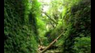 preview picture of video 'Big Sur, Ventana wilderness backwoods. (Big Sur)'