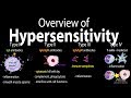 Type 1 Hypersensitivity Reaction Animation