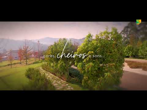 Tamboré Juiz de Fora