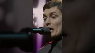 Bill Nelson’s Red Noise - Don’t Touch Me (I’m Electric) [Live, BBC Old Grey Whistle Test, 1979]