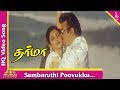 Sembaruthi Poovukku Video Song Dharma Tamil Movie Songs Vijayakanth Preetha Pyramid Music