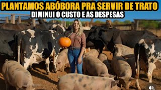 TRATAMOS DELES COM ABÓBORA @Marianafazendeira 