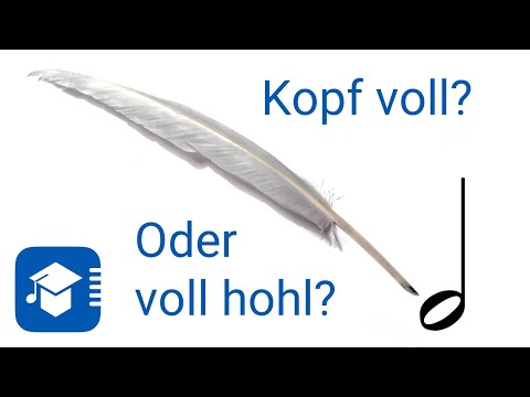 Warum sind die Notenköpfe der halben und ganzen Noten hohl?