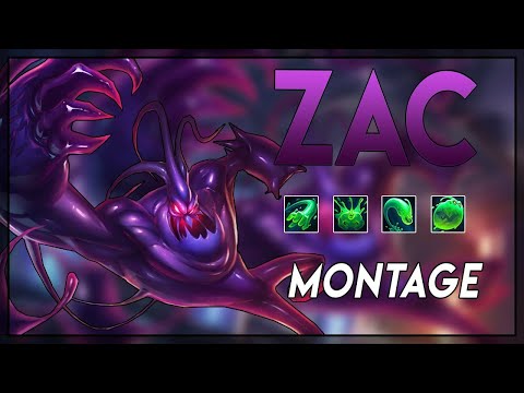 Zac Montage top 1 las