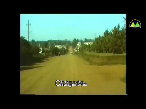 Colonias Radio Y Tv Hohenau Itapua