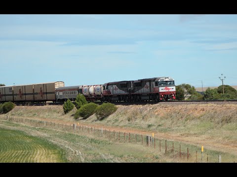 Long SCT freight train from Melbourne to Perth - Australian Trains