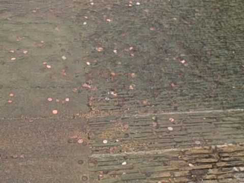 Be A Smile - Why do People throw coins in fountains? Make a wish!