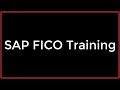 SAP FICO Training Introduction To SAP And FI CO Video 1 SAP FICO