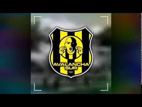 "Hay que alentar de corazónâ™ªAVALANCHA SUR" Barra: Avalancha Sur &bull; Club: Deportivo Táchira