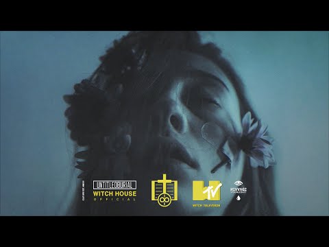 ♾ PORTWAVE — FLORA