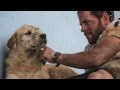 Arthur, The Stray Dog who joined a Swedish race.