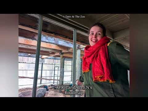 Prajna or The Elephant . I Heard The Bells (On Christmas Day) (Instrumental) . Official Music Video