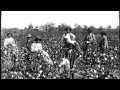 Cotton Field Hollers - Route 66