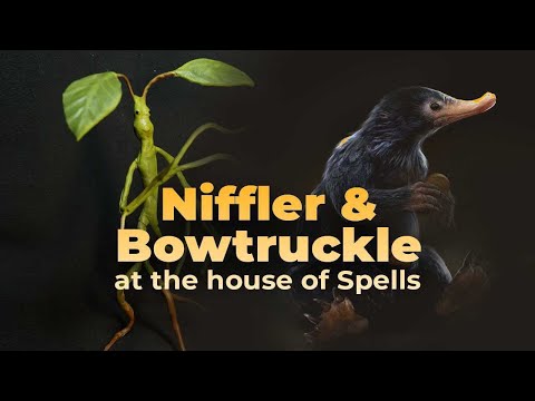 Niffler at House of Spells