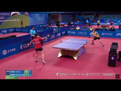 Was the umpire right when he said that it was an edge ball? (WTC 2022)