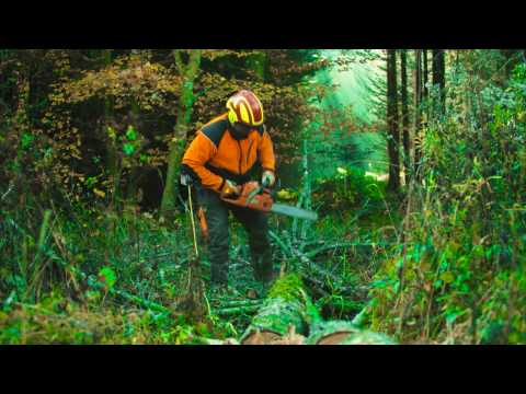 Schäfer's Holzernte Service Werbefilm zur Durchforstung