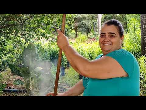 DONA LÚCIA FAZENDO DOCE DE MANGA EM PIRAÚBA MINAS GERAIS.