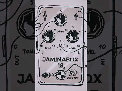 Cluster Jaminabox-18e 2023 - Dorado image 3