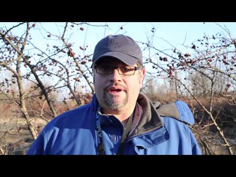 DJI Phantom 2 Vision Review and test footage