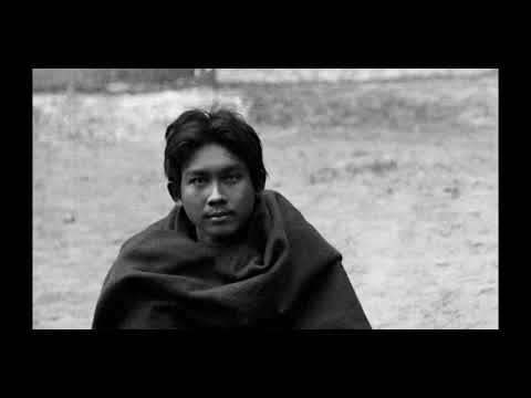 Exterminate All the Brutes (2021, Raoul Peck)