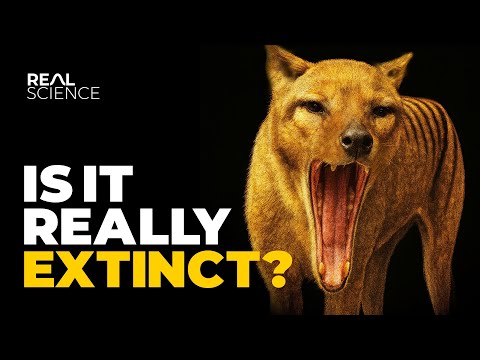 Why We're Not Sure How (And If) the Tasmanian Tiger Went Extinct