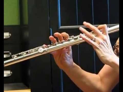 Muramatsu AD Flute For Sale - Heavy Wall and Extras (Skips and Jumps Demo)