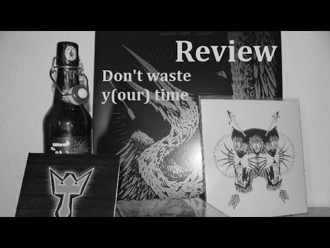 Dont waste (y)our time (VA) - Review [Vinyl]