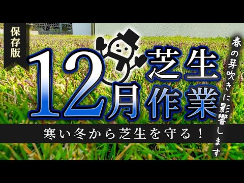 背の高い芝生を刈る 2023