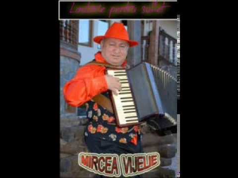 Mircea Vijelie Cum sa nu beau si sa plang