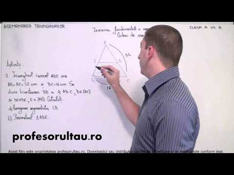 exemple probleme rezolvate asemanare - profesorultau.ro