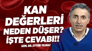 Tedavi Sonrası Kan Değerleri Neden Düşer? Demir Eksikliği Neden Olur? İŞTE CEVABI!! | Doktor Fitt