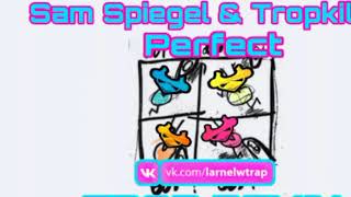 Sam Spiegel & Tropkillaz - Perfect (LARNEL W Trap Remix)