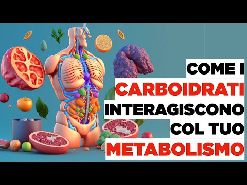 CARBOIDRATI: come interagiscono col tuo METABOLISMO
