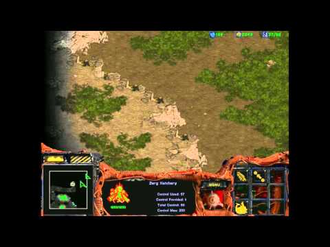 Starcraft 1: Retribution - Zerg 10 - Calm Before the Storm