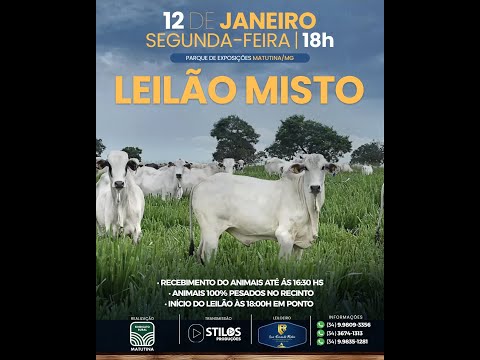 LEILÃO MISTO - SINDICATO RURAL DE MATUTINA-MG