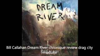 Bill Callahan - Summer Painter