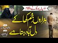 Heart Touching Kalam Udasi Ka Nagar Abad Rehta He Jalabeeb Qadri Peace Studio Nasheed Club
