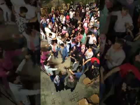 atım arap takzillerin dördünü-mısırlar saçak sacak Piyanist Şantör Çağlayan YAMAÇ 0 543 361 93 06