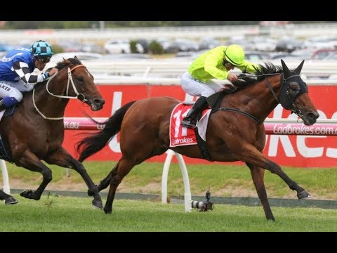 2019 MRC C F Orr Stakes