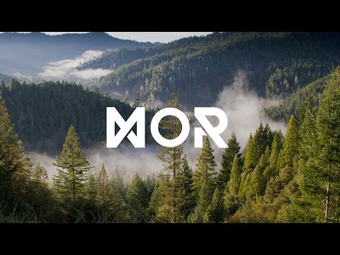 Leanch - Granny's Groove