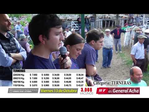 DE FRENTE AL CAMPO junto a NHF -REMATE de TERNERAS