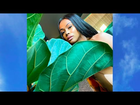 MORGAN - My Year (1 Year Anniversary Official Visualiser)