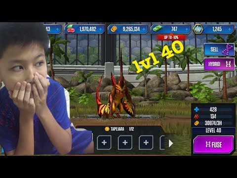 Tapejara level 40 [ep.20]